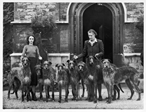 <b class=qtipBold><figcaption>Fall/Deerhounds/1950</figcaption></b><br>Miss Hartley with a group of eight Rotherwood deerhounds.<br><em>© Mary Evans Picture Library 2015 - https://copyrighthub.org/s0/hub1/creation/maryevans/MaryEvansPictureID/10126713</em> Fall/Deerhounds/1950
