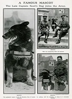 A famous mascot - Captain Scott dog joins the Army A famous mascot - Captain Scott dog joins the Army