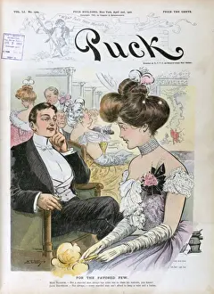 Puck Magazine Cartoons Online Prints: For the favored few