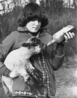 Britain Farming History Prints: Feeding a Lamb