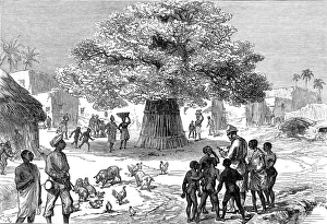 Fetish tree in a village near Cape Coast Castle, 1873 Fetish tree in a village near Cape Coast Castle, 1873