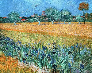 Landscapes Collection: Field with Flowers near Arles by Van Gogh
