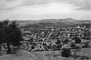 Holy Land Landscape Prints: Field of the Shepherds, Bethlehem