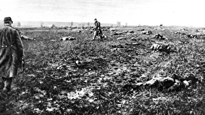 After a fight in Champagne: Bodies of fallen German soldiers strewn over a battlefield After a fight in Champagne: Bodies of fallen German soldiers strewn over a battlefield