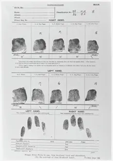 Prints of Fingerprints on a fingerprint record sheet from the New Scotland Yard criminal record office. Metropolitan Police Related Prints: Metropolitan Police Fingerprint Print