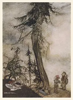 Historical Art Prints Online Prints: Fir Tree and Bramble