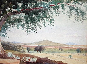 First Dressing Station, Gallipoli, August 1915 First Dressing Station, Gallipoli, August 1915