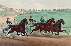 Vintage Horse Racing Art Prints: Well together at the first turn