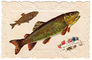 Two fish on a French April Fool greetings card Two fish on a French April Fool greetings card