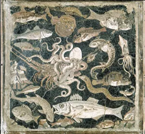Fish Mosaic from Pompeii Fish Mosaic from Pompeii