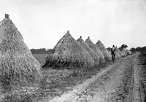 Historical Farm Equipment Prints: Flax Stacks