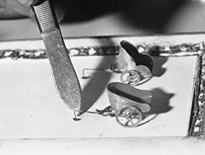 Prints of Professor Tomlins flea circus: a flea is pushed into position at the start of the chariot race; fine harnessing wires attach the fleas to the chariots Date: 1960s Flea Prints: Flea Circus Chariots Print, 1960s
