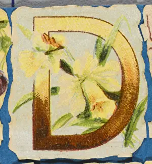 Antique Flower Art Prints: FLOWER D