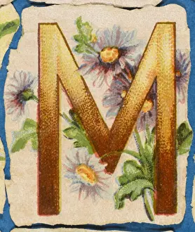 Vintage Floral Art Prints: FLOWER M
