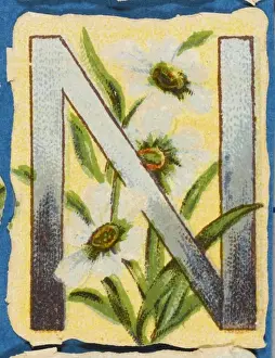 Floral Watercolour Paintings Prints: FLOWER N