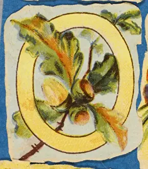 Vintage Floral Art Prints: FLOWER O