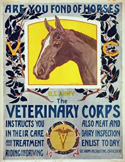 Are you fond of horses - US Army - The Veterinary Corps inst Are you fond of horses - US Army - The Veterinary Corps inst