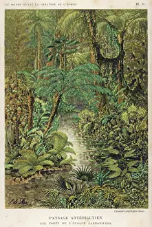 Geological Prints: Carboniferous Forest Print