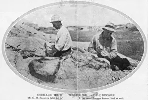 Dinosaur Fossils Prints: Fossils / Palaeontologists