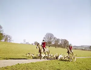 Fox Hunting In England Prints: FOX HUNT