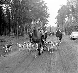 German Countryside Scenes Prints: Fox hunting