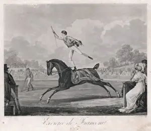 Black Horse Print: Franconi Performs