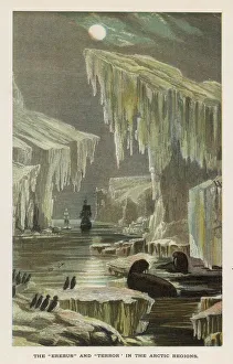 Franklins expedition seeking Northwest Passage Franklins expedition seeking Northwest Passage