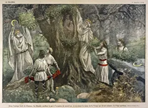 French Druids Print: Mistletoe Collection in a Chartres Forest