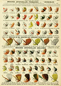 French and English artificial fishing flies French and English artificial fishing flies