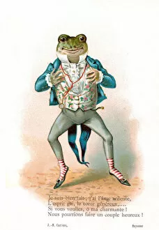 Postcard Collection: Frog in human clothing on a French postcard