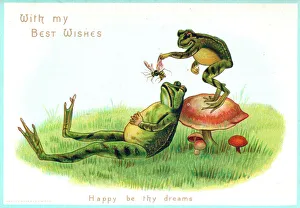 Two frogs with insect on a greetings card Two frogs with insect on a greetings card