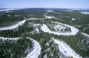 Frozen river meanders in Taiga-forest, a tributary Frozen river meanders in Taiga-forest, a tributary