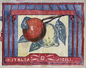20th Century Italian Fruit Label Print - Oranges and Lemons
