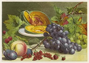 Summer Fruits Prints: Fruit / Melon, Grapes Etc