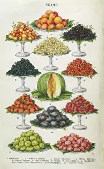 Fruit Print on Platters 1907