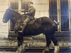 G Stokes, Shropshire Light Infantry and Royal Engineers G Stokes, Shropshire Light Infantry and Royal Engineers