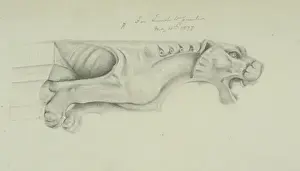 Natural History Museum Interior Prints: Gargoyle design