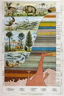 Geological Strata 19C Print
