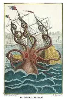 Mythical Beast Prints: Giant Octopus Print, 1805