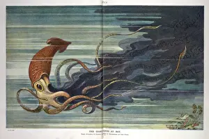 The Giant Squid at Bay Print by Norman Wilkinson