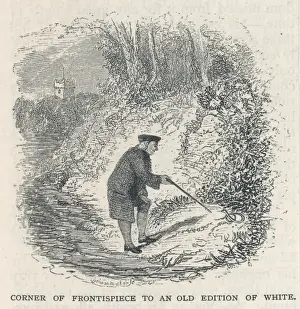 18th Century Scientist Prints: Gilbert White of Selborn