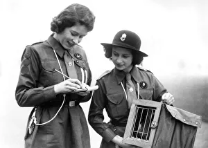 Girl Guides: Princesses Elizabeth and Margaret send courier Girl Guides: Princesses Elizabeth and Margaret send courier