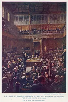Politician Prints: Gladstone Introduces the Second Home Rule Bill Print, 1893