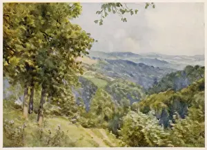 Prints of Gloucestershire scenery: the Forest of Dean Gloucestershire Prints: Vintage Forest of Dean Print