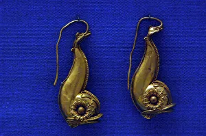 Golden earrings with shaped like a dolphin Golden earrings with shaped like a dolphin