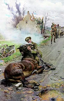 Prints of Colour print of the famous picture by Fortunino Matania showing a gunner saying farewell to his dying horse Mammal Prints: Colour Print of 'Goodbye, Old Man' by Fortunino Matania