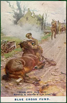 World War One Print: A Soldiers Farewell to His Dying Horse