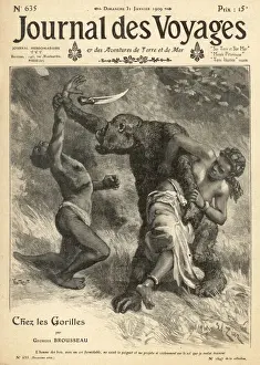 Congo Wildlife Prints: Gorilla on the Attack