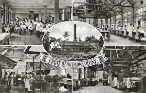 Prints of Great Barr colony for mental defectives, opened circa 1918 by the Walsall and West Bromwich Joint Committee to house people with severe learning difficulties Staffordshire Prints: Great Barr Colony Print: Female Inmates at Work, circa 1918