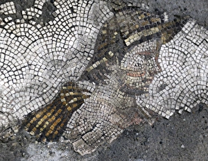 Great Palace Mosaic Museum. Byzantine style. Head of a young Great Palace Mosaic Museum. Byzantine style. Head of a young